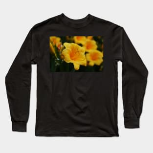 Hemerocallis 'Stella d'Oro'  Daylilies Long Sleeve T-Shirt